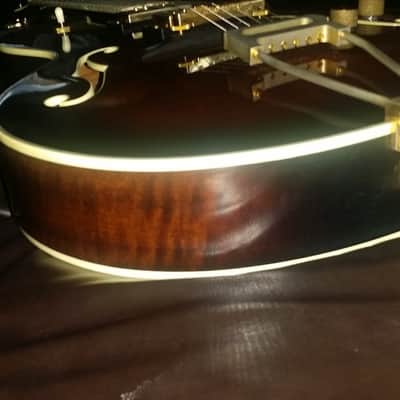 1983 BC Rich Robert CONTI Deep Jazz Guitar RSJG-2 Vintage Rare Rico B.C. Conte image 19