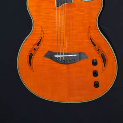 Giannini Nashlyn-A Amber image 2
