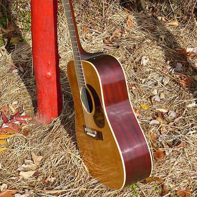 1965-66 Harptone-made Supreme A-6N dreadnought guitar image 13