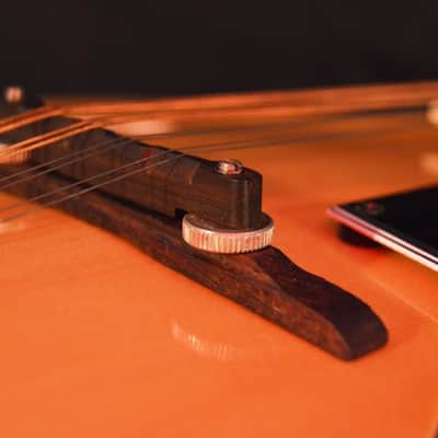 Ventura Mandolin – Excellent Condition! image 6