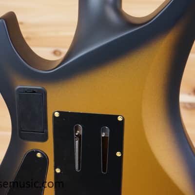 Schecter Synyster Gates Signature Custom-S Sustainiac - Satin Gold Burst image 9