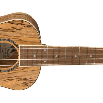 Fender Zuma Exotic Concert Ukulele, Walnut Fingerboard, Spalted Maple Bild 3