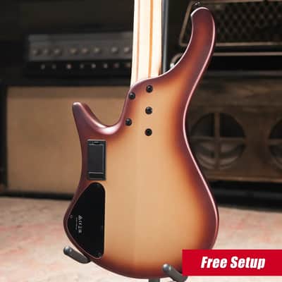 Ibanez EHB600CCM EHB Ergonomic Headless Bass - Charred Champagne Burst Matte image 2