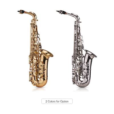 Eb Alto Saxophone Sax Brass Lacquered Gold 802 Key Type with Padded Case Gig Bag & Accessories image 3