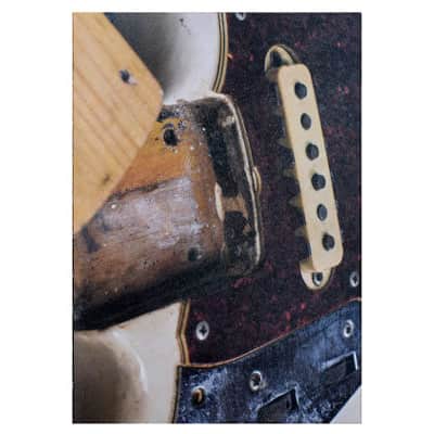 This Guitar Belongs to Rowland S. Howard image 8