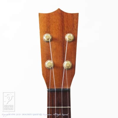 KAWAKAMI GUITARS＜MIJ> T-1M DX 2006 image 5