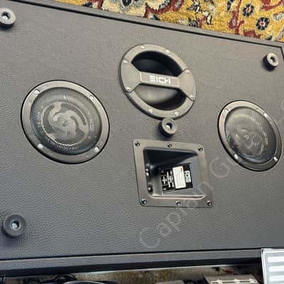 2024 Eich Amplification - TB250 Sub Bass mit Bass Board S - ID 5859 image 3