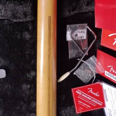Fender Player Plus Meteora HH 2022 - Present - Belair Blue image 3