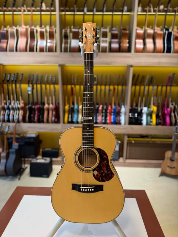 Maton EBG808TE Tommy Emmanuel