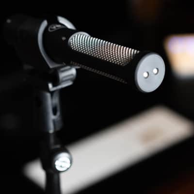 Immagine Mesanovic Microphones Model 2 Passive Ribbon Mic - Black - 6