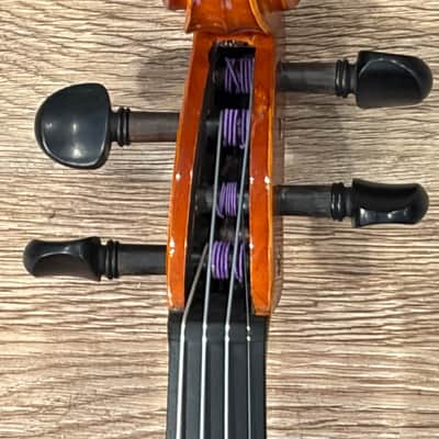 Eastman VL100 3/4 2020 image 2
