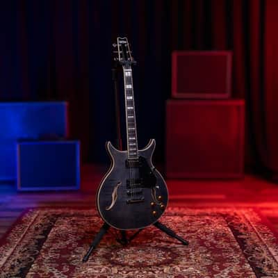 Washburn SH35TB Wing Series Semi Hollow Electric Guitar w/Gigbag, Trans Black image 17
