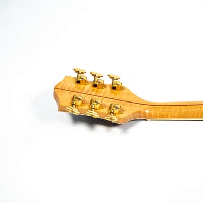 Gretsch Synchromatic Owned by Brian Setzer image 18