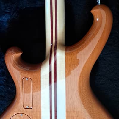 Alembic Darling 2023 - polyester image 14