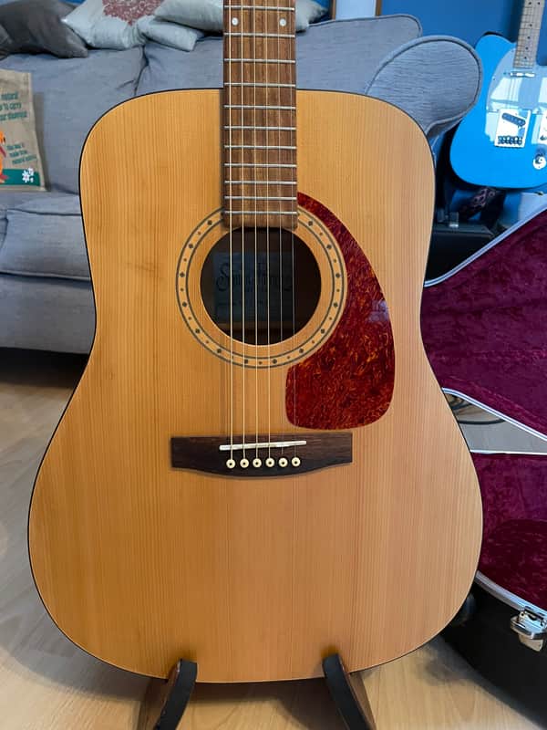 Simon & Patrick S&P 6 Spruce 2002 - Solid spruce top, laminated cherry back and sides. image 1