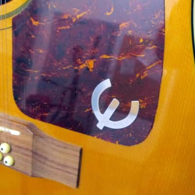 Used Epiphone FT-112 Bard "Oh Pretty Woman" Roy Orbison 12 String Acoustic w/ Hard Case image 10