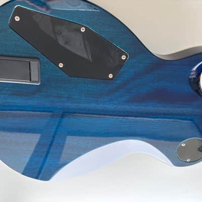 Harley Benton SC-Custom Plus EMG image 9