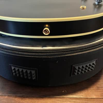 Epiphone Emily Wolfe Signature Sheraton 2021 - 2023 - Stealth Black image 16