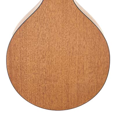 Eastman PCH-M104-NAT Mandolin #M2451910 image 6