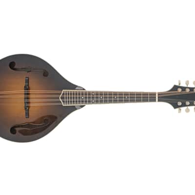 Bourgeois M5-A SB Mandolin #M2512108 image 9