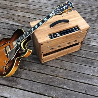 KelT Amplification V-Twin Combo 15W image 3