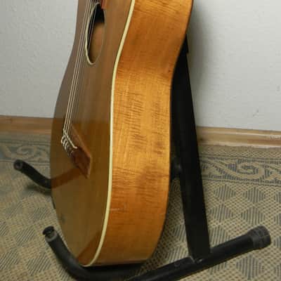 vintage Hofner Höfner 517 acoustic parlor guitar Gitarre chitarra Germany 1960s image 12