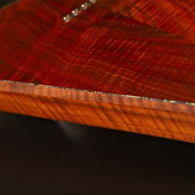 Hoff Guitars Valnut (Neck-Through, Multi-Scale, Semi-Hollow V 2024 - Polymerized Tung Oil image 13