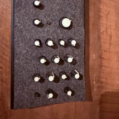 Make Noise 0-Coast Patchable Synthesizer 2008 - Present - Black image 2
