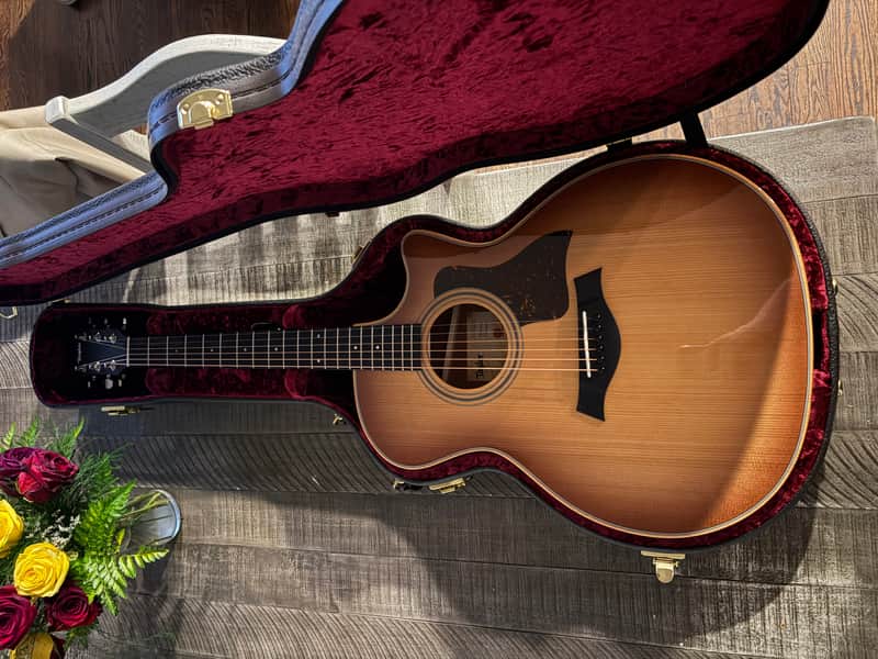 Taylor 314ce Studio Special Edition 2024 - Present - Shaded Edgeburst image 1