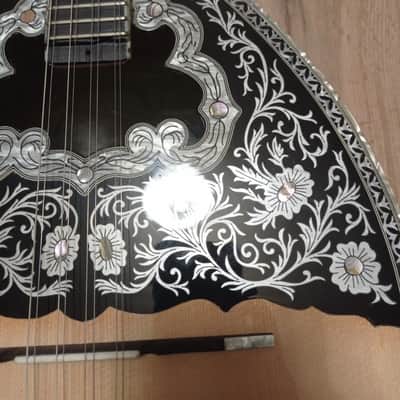Greek Bouzouki & hardcase & pickup & 300 backing track with pdf scores 8 strings image 4