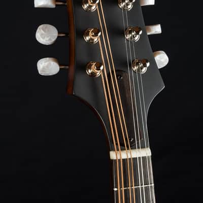 Eastman MD305 A-Style Mandolin NEW image 6