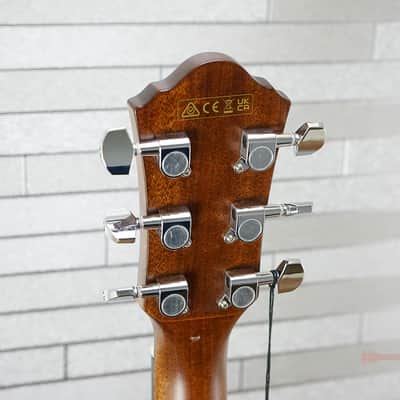 Ibanez AEG220-LGS Grand Concert - Natural Low Gloss image 14