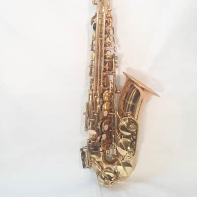 Musikwerks-Gold Lacquer Alto Saxophone-Intermediate Level-New-w/Shop Warranty! image 1