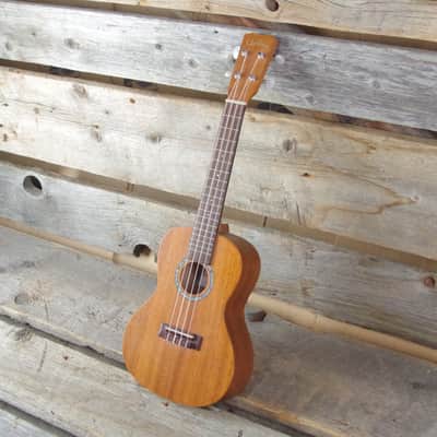 Cordoba 10CM Concert Ukulele image 3