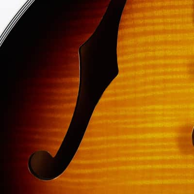 Gibson Custom Shop CS-356 Vintage Sunburst 2024 Block image 6
