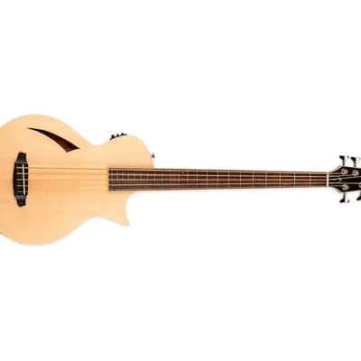 ESP LTD TL-5 Acoustic-Electric 5-String Bass Guitar- Natural - B-Stock image 4