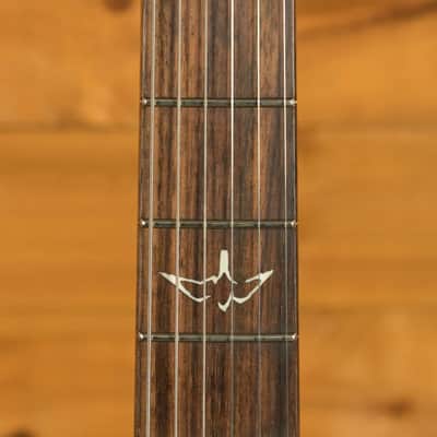 PRS CE22 Limited Edition - Faded Blue Smokeburst image 6