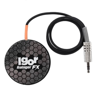 Rainger FX Echo-X Gated Delay Pedal w/IGOR | Reverb