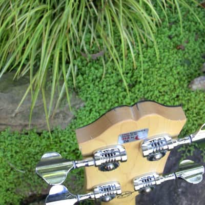 Epiphone Ripper 2006 Natural image 14