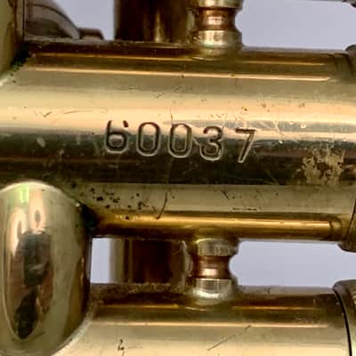 Barclay Cornet image 6