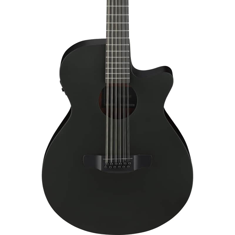 Ibanez AEG1221 AEG 12-String Acoustic Electric Guitar - Black Out image 1