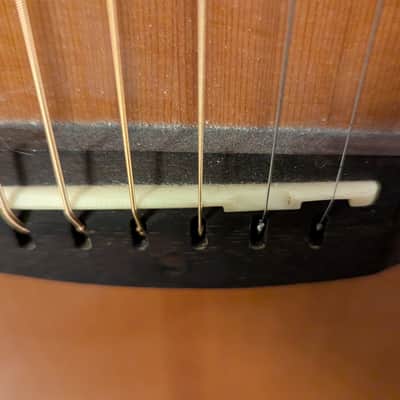 Breedlove Solo Concert Acoustic Guitar 2016 image 14