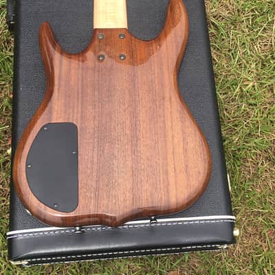 Ken Smith Hadrien Feraud 5 String Bass Guitar image 3