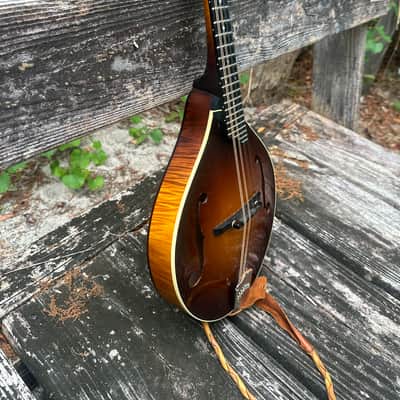 Collings Mt - Sunburst image 2