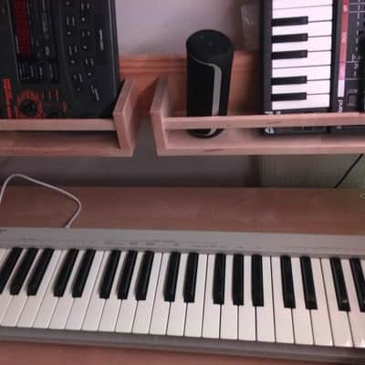Roland PC-200 Mk ii Midi Keyboard 9 Volt Powers Supply Or Battery Powered image 1