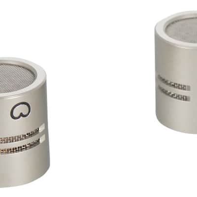 Se Electronics RN17 Cardioid Pair Capsules for RN17 Studio Microphone+Monitors image 12