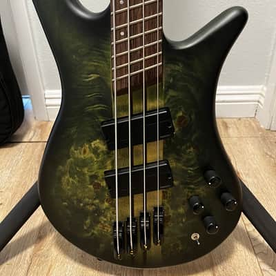 Spector NS Dimension 4 2020 - Haunted Moss image 4