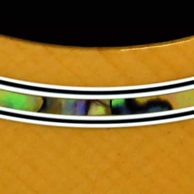 Guvnor Electro Acoustic Guitar Folk Style GA755CE Cutaway Solid Top Z-00 image 8