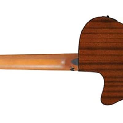 Ibanez Aegb25 Etkh image 3