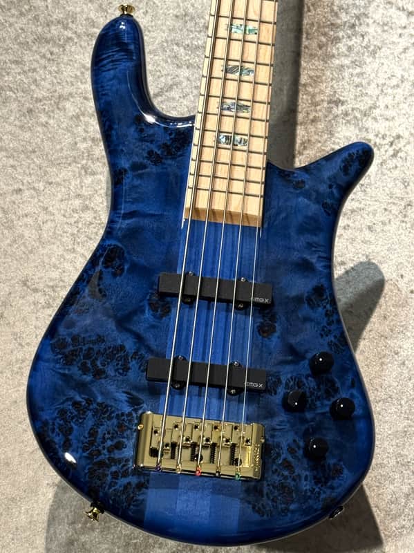 Spector Euro 5 CST Black & Blue w/White Back Gloss [3.98kg] image 1